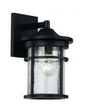 Trans Globe 40380 BK - 1LT WALL LANTERN-SML-SEEDED GL